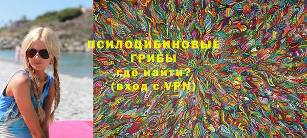 твердый Кирсанов
