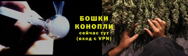 твердый Кирсанов