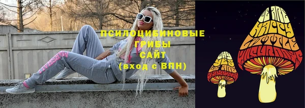 мескалин Киселёвск